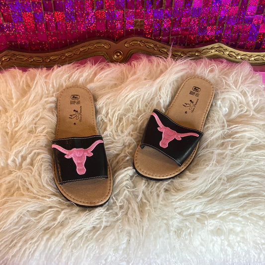 Texas Longhorn slides