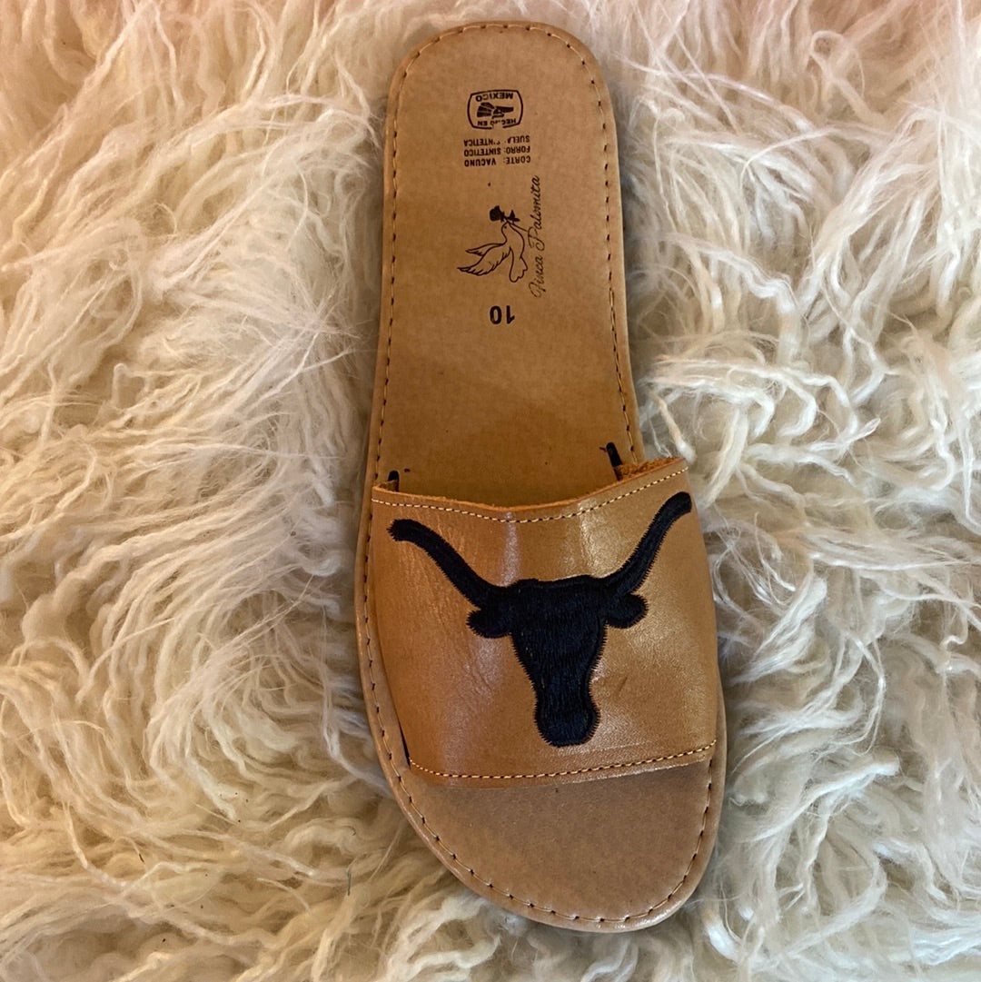 Texas Longhorn slides