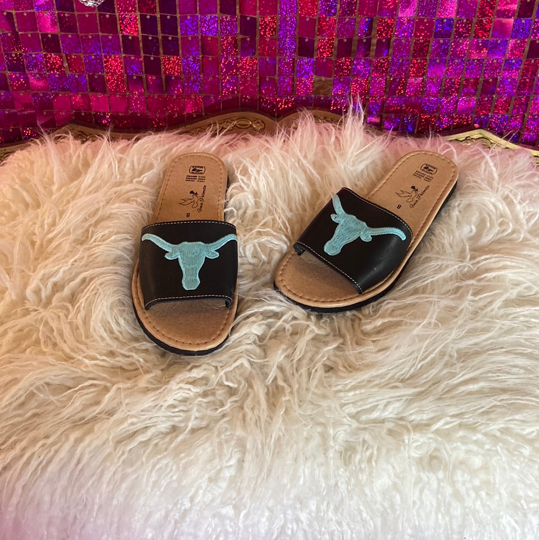 Texas Longhorn slides