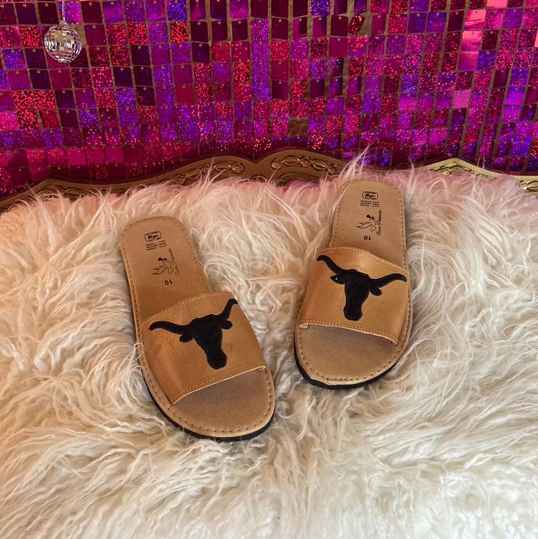 Texas Longhorn slides