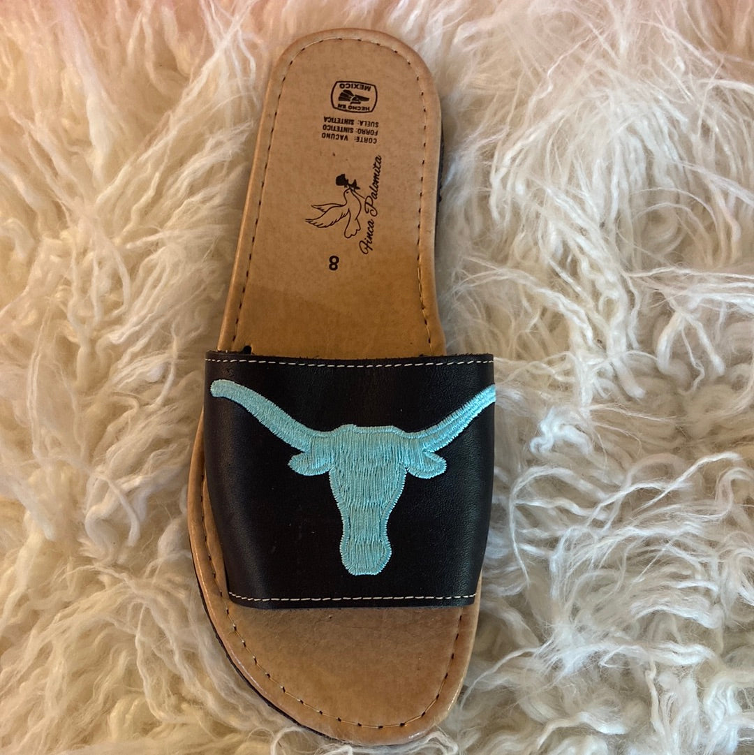 Texas Longhorn slides