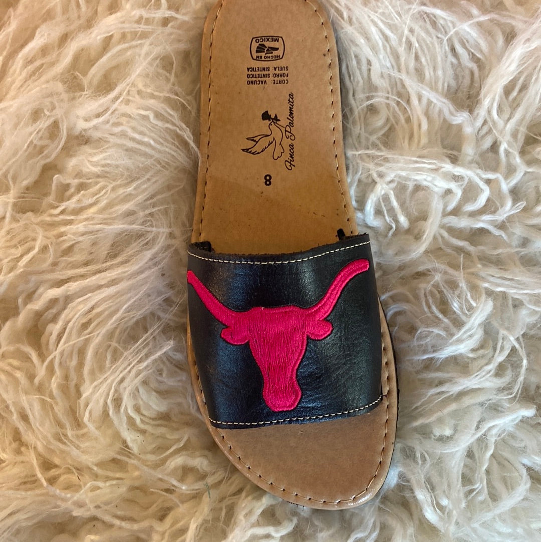 Texas Longhorn slides