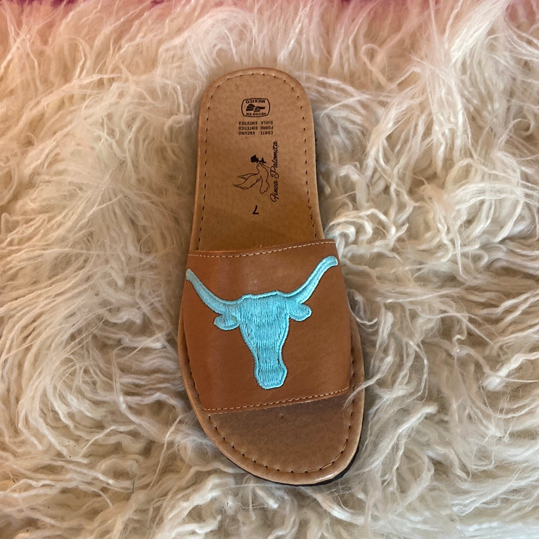 Texas Longhorn slides