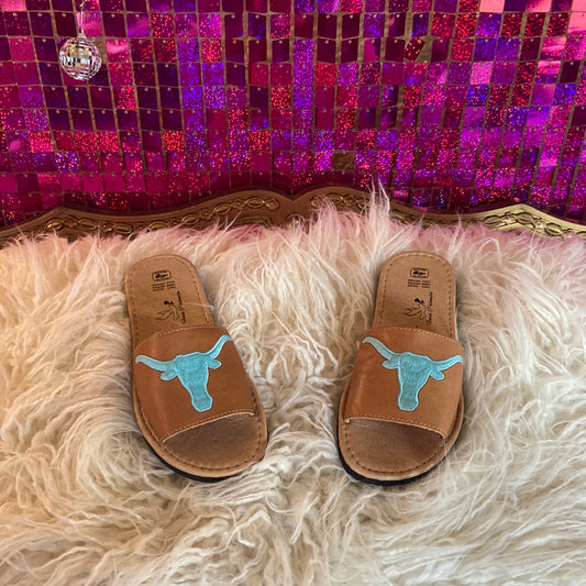 Texas Longhorn slides