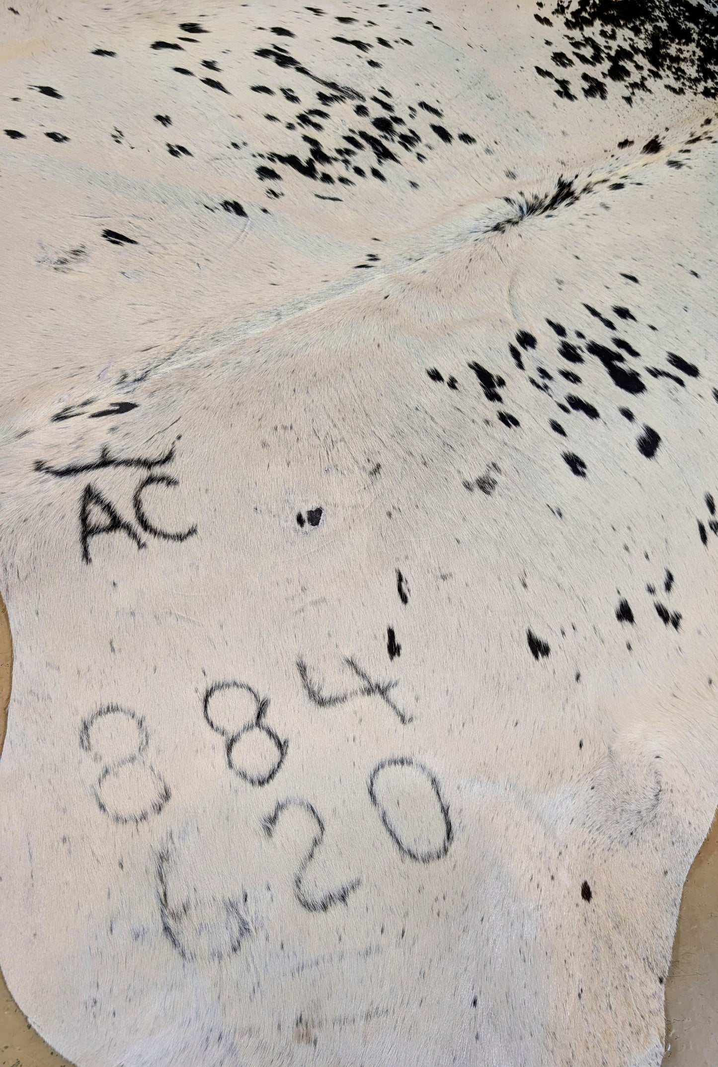 "AC" Full Cowhide